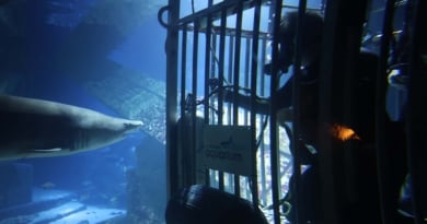 Shark Tank Riverhead