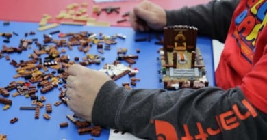 Block Party Lego