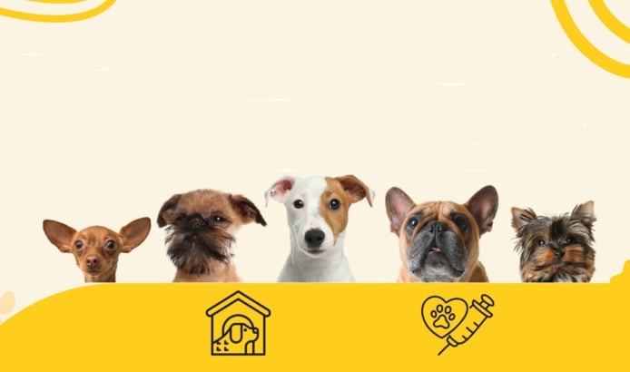 Town to hold free rabies vaccination clinics Rabies Clinic 2026