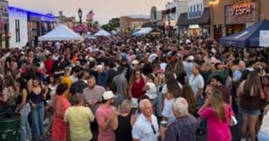 Farmingdale Music On Main