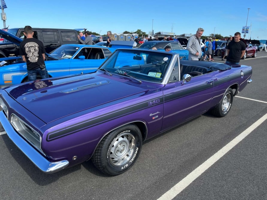 Purple Cuda