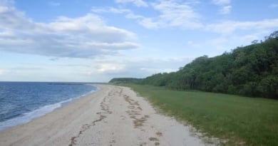 Shoreham Dec Land